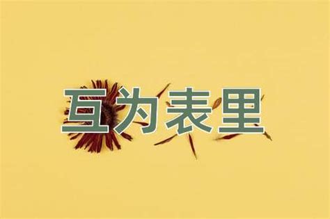 互為表裡意思|互为表里的解释